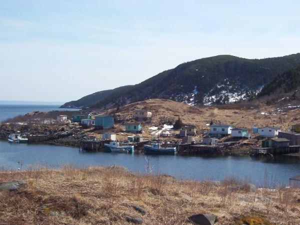 660: Red Island harbour. (2004) [courtesy of Maxine (Best) Mulrooney]